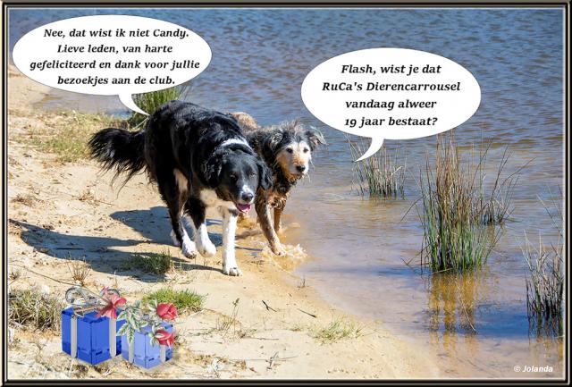 Verj19jaar.jpg