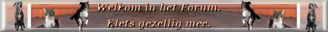 OndergzonFr.jpg