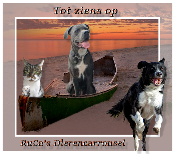 OndergzonTz.jpg