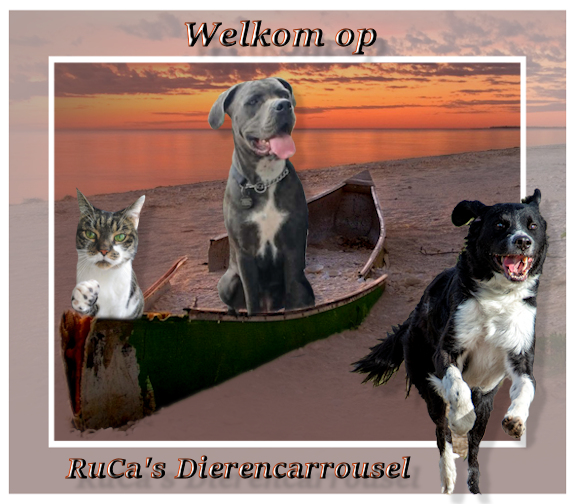 OndergzonWk.jpg