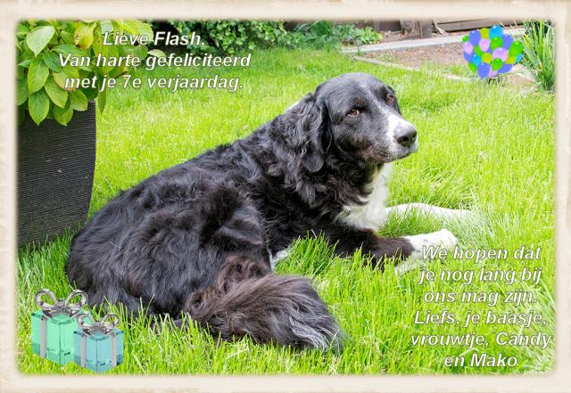 VerjaardagFlash7.jpg