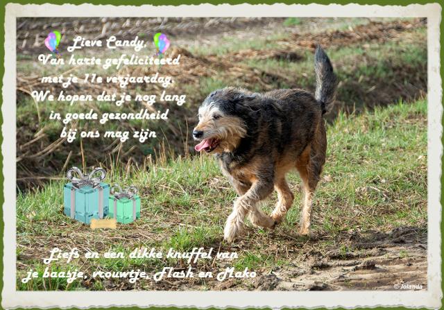 VerjaardagCandy11.j…