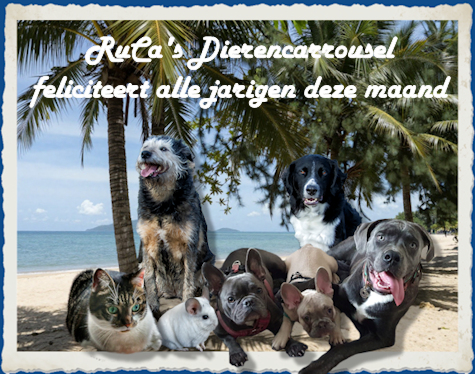 RuCaZomerFc.jpg