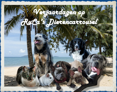 RuCaZomerVj.jpg