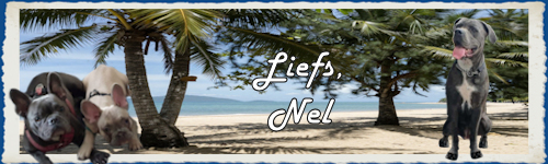 RuCaZomerHtNel.jpg