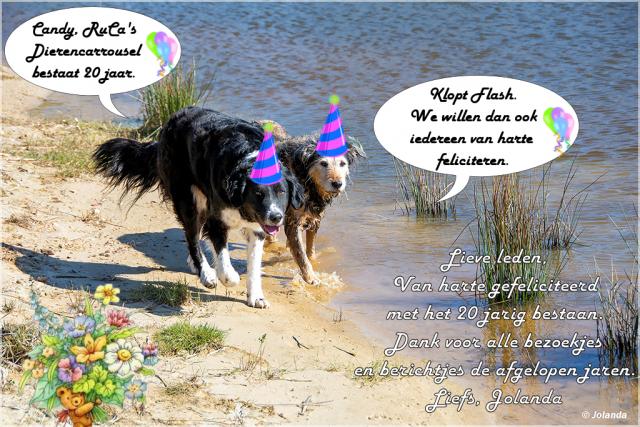 RuCa20jaar.jpg