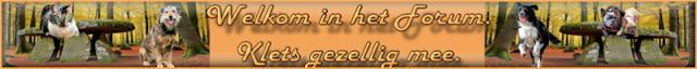 HerfstFr.jpg