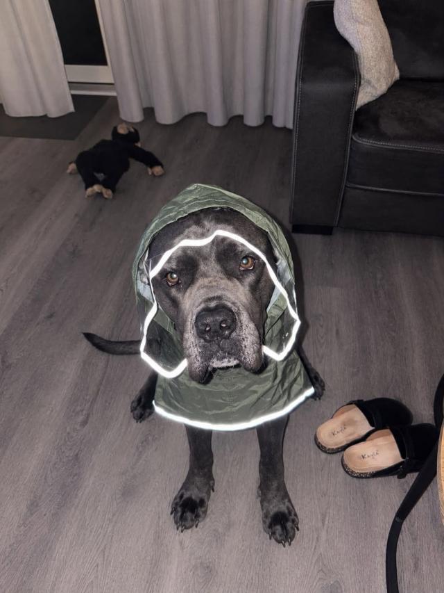 weer.jpg