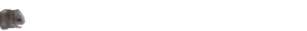 lopende%2520chin.gif